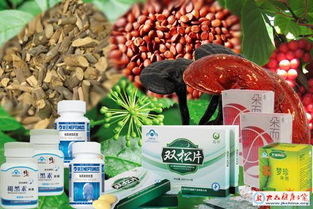 保健食品詳解 改善睡眠功能的科學路徑